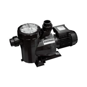 Astral Victoria Plus 3 Hp 220 V Havuz Pompası