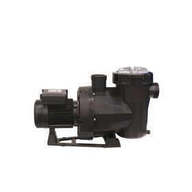 Astral Victoria Plus 3 Hp Monofaze Kendinden Emişli Havuz Pompası