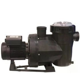 Astral Victoria Plus 3 Hp Trifaze Kendinden Emişli Havuz Pompası
