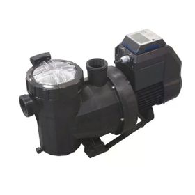Astral Victoria Plus Vs 2 Hp Monofaze Kendinden Emişli Havuz Pompası