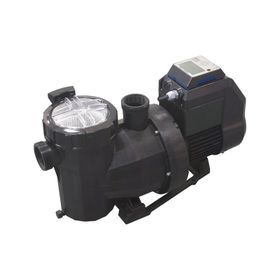 Astral Victoria Plus Vs 2 Hp Monofaze Kendinden Emişli Havuz Pompası