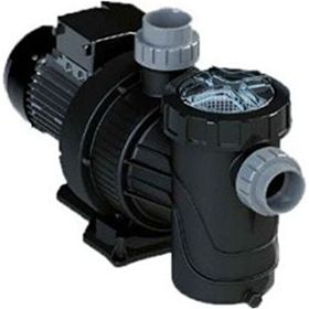 Astralpool Verdon ES 1 HP Trifaze Havuz Pompası