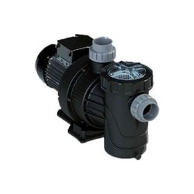 Astralpool Verdon ES 2 HP Trifaze Havuz Pompası