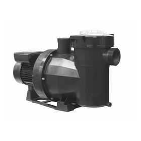 Astralpool Victoria Plus Silent 2 HP Monofaze Havuz Pompası
