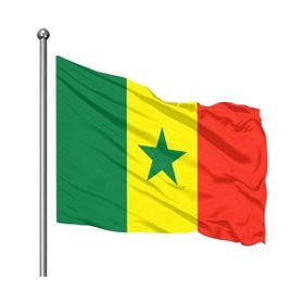 Asya Bayrak 70x105 cm Senegal Bayrağı