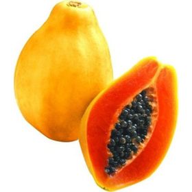 Ata Tohumculuk 3 Adet Nadir Tropikal Bodur Papaya Ağacı Tohumu