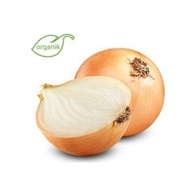 Ata Tohumculuk 30 Adet Kışlık Kuru Soğan Tohumu