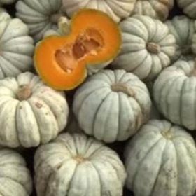 Ata Tohumculuk 5 Adet Kestane Kabağı Tohumu