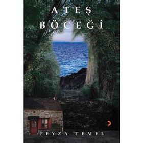 Ateş Böceği - Feyza Temel