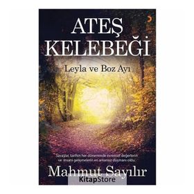 Ateş Kelebeği - Mahmut Sayılır