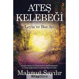 Ateş Kelebeği - Mahmut Sayılır