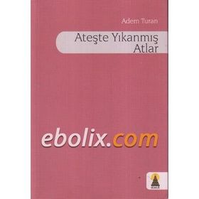 Ateşte Yıkanmış Atlar - Adem Turan