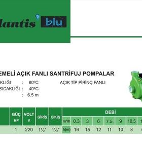 Atlantis CM20 1 HP Tek Kademeli Santrifuj Pompa