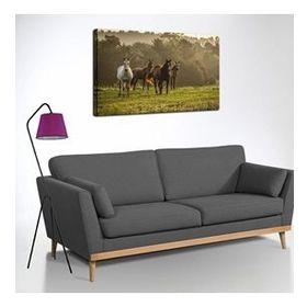 Atlar 60x90 Kanvas Tablo