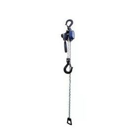 Atlas Pro ATCH25 Cırcır Kollu 2 Ton Hubzug