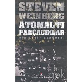 Atomaltı Parçacıklar - Steven Weinberg