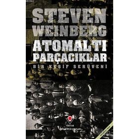 Atomaltı Parçacıklar - stewen weinberg