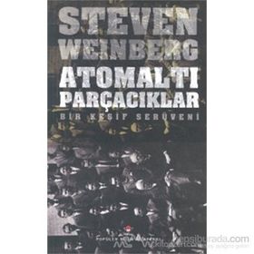 Atomaltı Parçacıklar - stewen weinberg