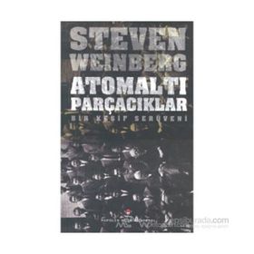 Atomaltı Parçacıklar - stewen weinberg
