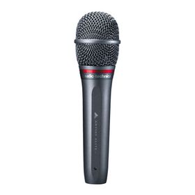 Audio Technica AE6100 Dinamik Vokal Mikrofonu