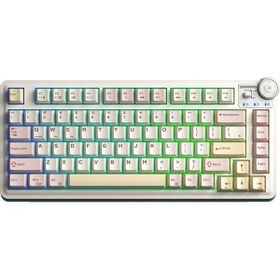 Aula AU75 3 Modlu Mekanik Gaming Krem Kablosuz Klavye RGB TKL Bloomfield Switch Hot Swap Makrolu Oyuncu Klavyesi
