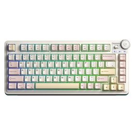 Aula AU75 3 Modlu Mekanik Gaming Krem Kablosuz Klavye RGB TKL Bloomfield Switch Hot Swap Makrolu Oyuncu Klavyesi