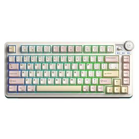 Aula AU75 3 Modlu Mekanik Gaming Krem Kablosuz Klavye RGB TKL Bloomfield Switch Hot Swap Makrolu Oyuncu Klavyesi