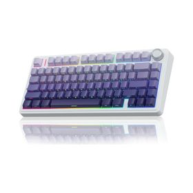 Aula F75 Gradyan Mor Mekanik RGB TKL Seiya Switch Kablosuz Makrolu Hot Swap Gaming Klavye