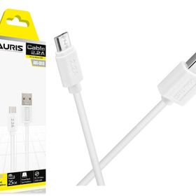 Auris ARS-CB13 Micro 25 cm Kablo