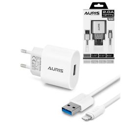 Auris ARS-CH-12 1.8 A Ios Şarj Seti