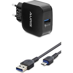 Auris ARS-CH14B Micro Set 3A Şarj Cihazı