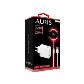 Auris ARS-CH37 120 W Usb to Type C Yüksek Hızlı Şarj Aleti Seti 120 W Usb Başlık + Type C Kablo Saliseli