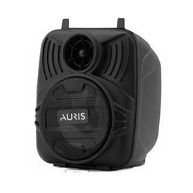 Auris KLN30 Bluetooth Hoparlör
