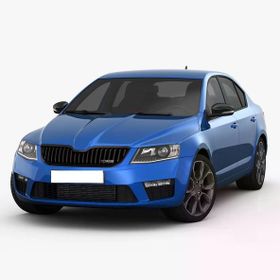 Auto GP Skoda Octavia RS 2014+ Ön Tampon ve Panjur Seti