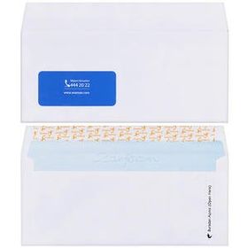 Avansas 1. Hamur Pencereli 110 gr 10x24 cm 100'lü Diplomat Zarf