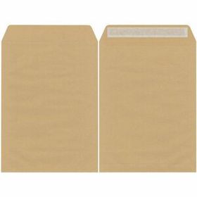 Avansas Formula 100 gr 24 cm x 32 cm 50'li Torba Zarf