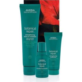 Aveda Botanical Repair Yıpranmış Saçlar İçin Yoğun Bitkisel Onarım Seti