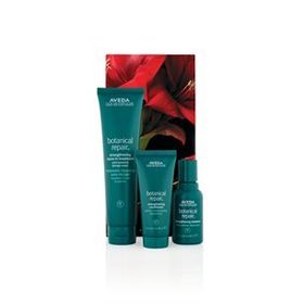Aveda Botanical Repair Yıpranmış Saçlar İçin Yoğun Bitkisel Onarım Seti