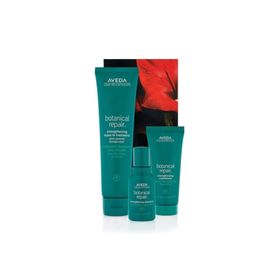 Aveda Botanical Repair Yıpranmış Saçlar İçin Yoğun Bitkisel Onarım Seti