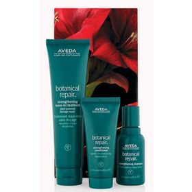Aveda Botanical Repair Yıpranmış Saçlar İçin Yoğun Bitkisel Onarım Seti