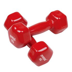 Avessa 2x1 kg Kırmızı Dambıl Set