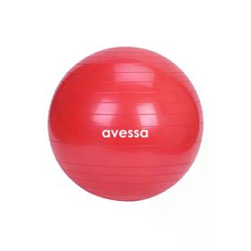 Avessa BPT-65 Poşet Ambalaj Kırmızı 65 cm Pilates Topu