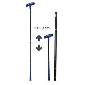 Avessa GB-190 Mavi Ayarlanabilir Golf Sopası