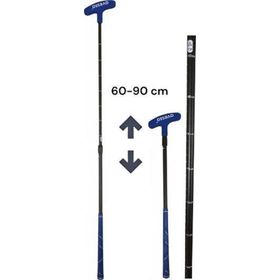 Avessa GB-190 Mavi Ayarlanabilir Golf Sopası