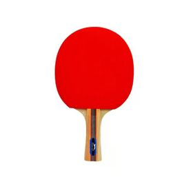 Avessa Slazenger Champion ITTF Onaylı Masa Tenis Raketi