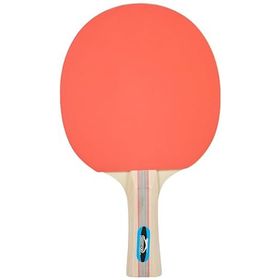 Avessa Slazenger Champion ITTF Onaylı Masa Tenis Raketi