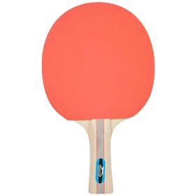 Avessa Slazenger Champion ITTF Onaylı Masa Tenis Raketi