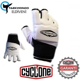Avessa TE-200 Taekwondo Eldiveni