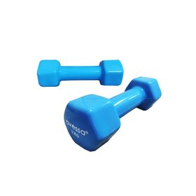 Avessa Vinly Pvc 2 kg Dambıl