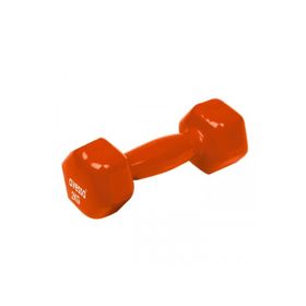 Avessa Vinly Pvc 2 kg Dambıl